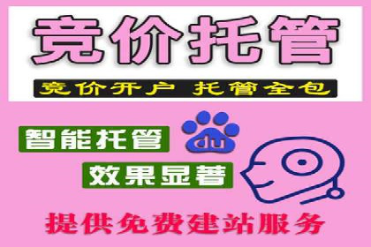百度推广平台案例剖析：揭秘广告投放策略
